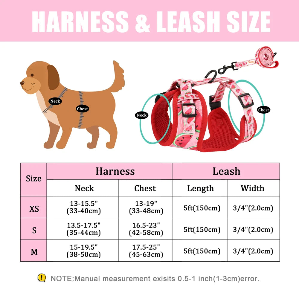 Watermelon Harness