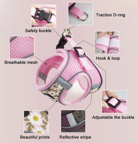 Blue Daisy Cat Harness