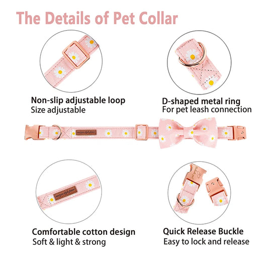 Daisy Floral Collar and Bowtie