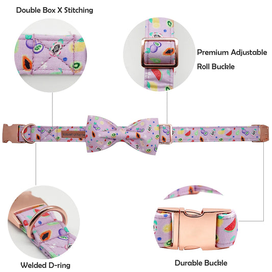 Fun Fruit Collar and Bowtie