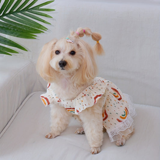 Rainbow Flutter Dress