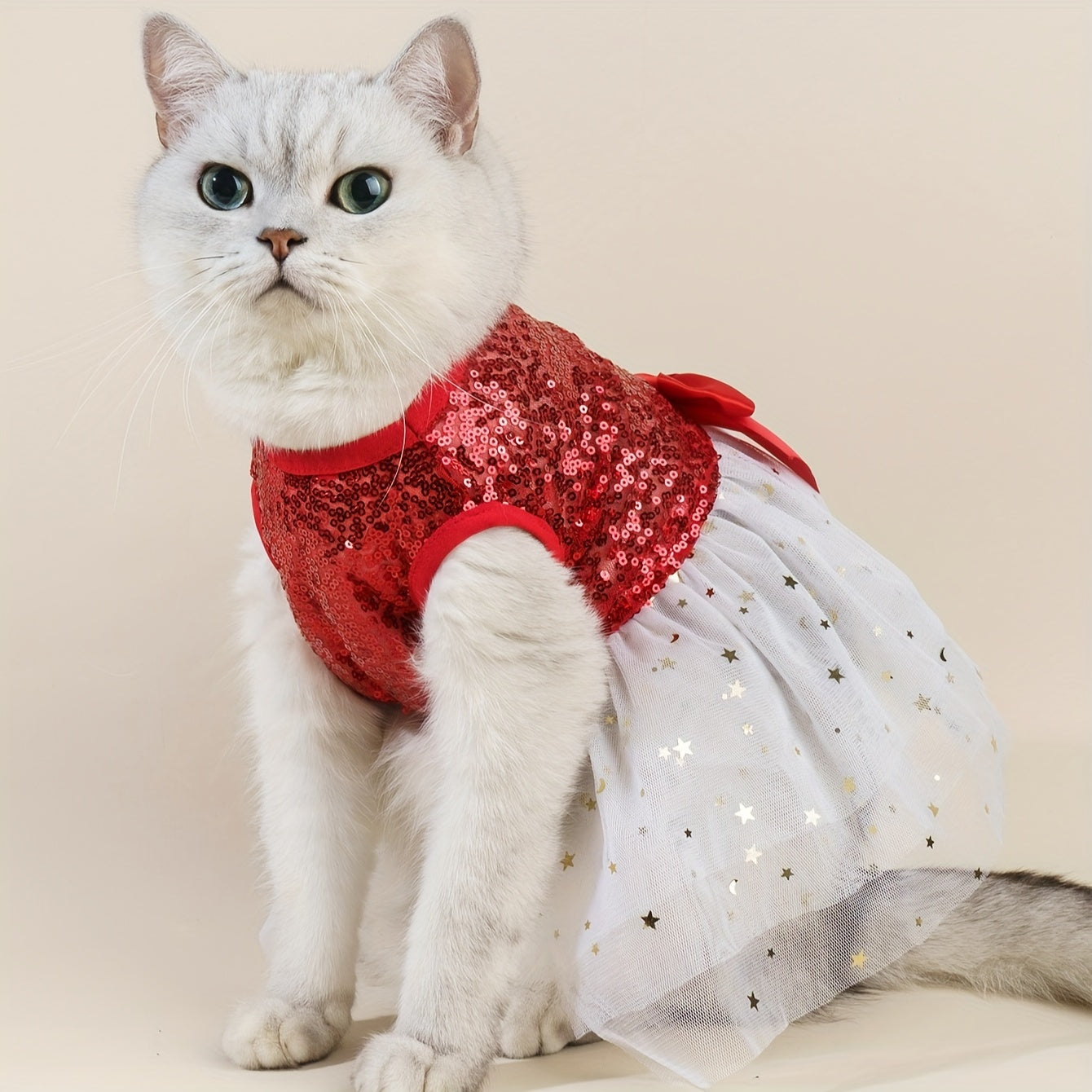 Bella Sequence Dress