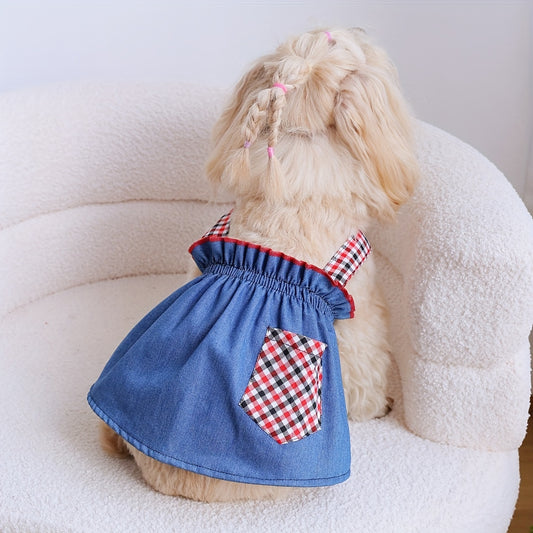 Scarlet Denim Dress