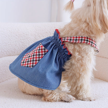 Scarlet Denim Dress