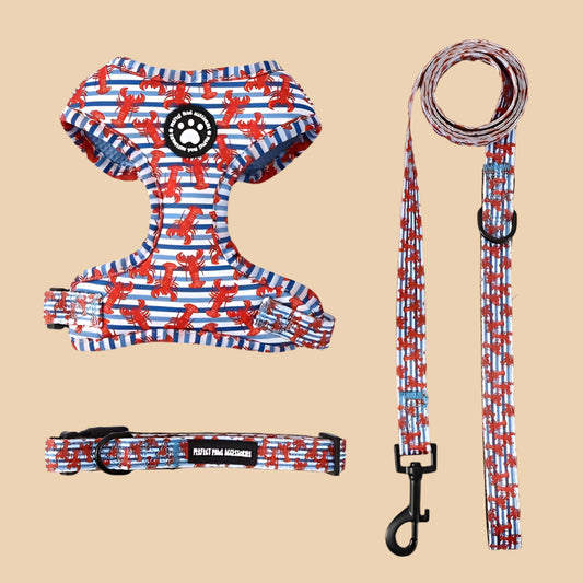 Lobster Harness