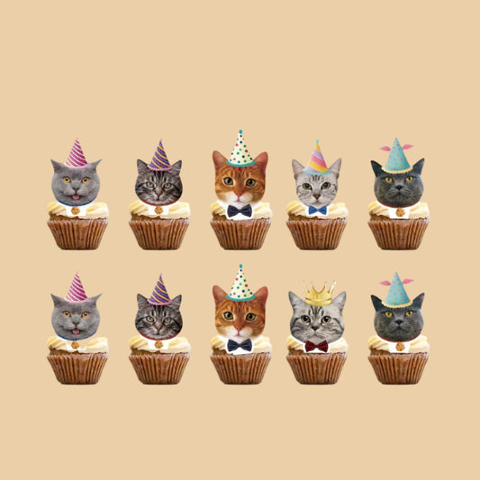 24pcs Cat Cupcake Toppers