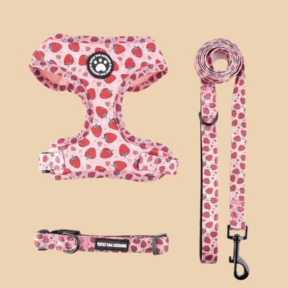 Strawberry Patch Harness