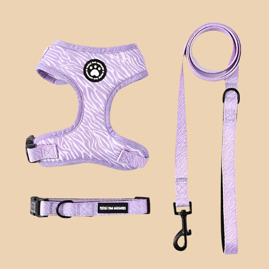 Purple Zebra Harness