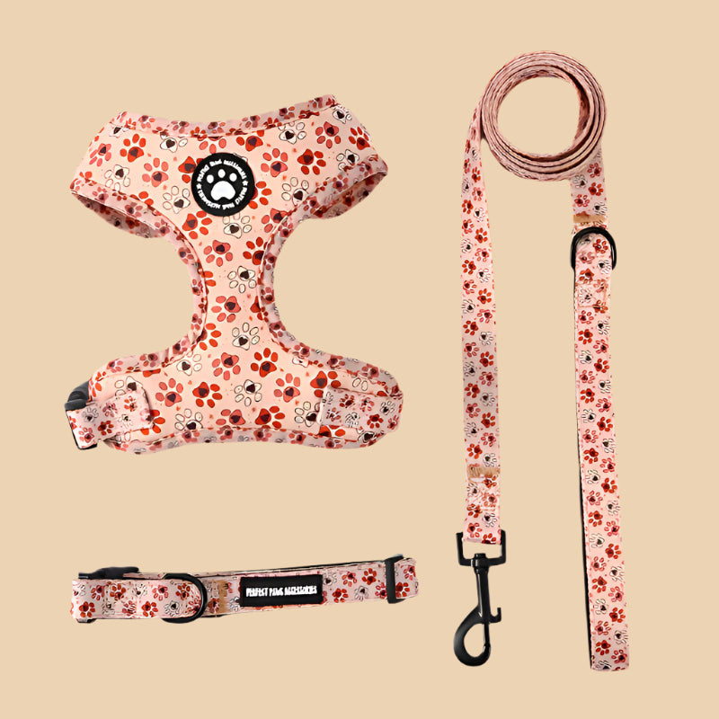 All Paws Harness