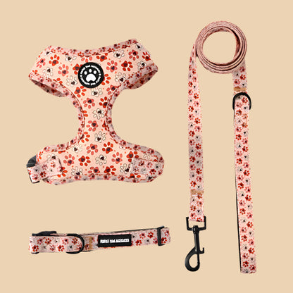 All Paws Harness
