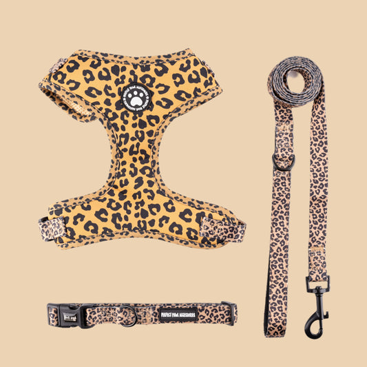 Leopard Harness