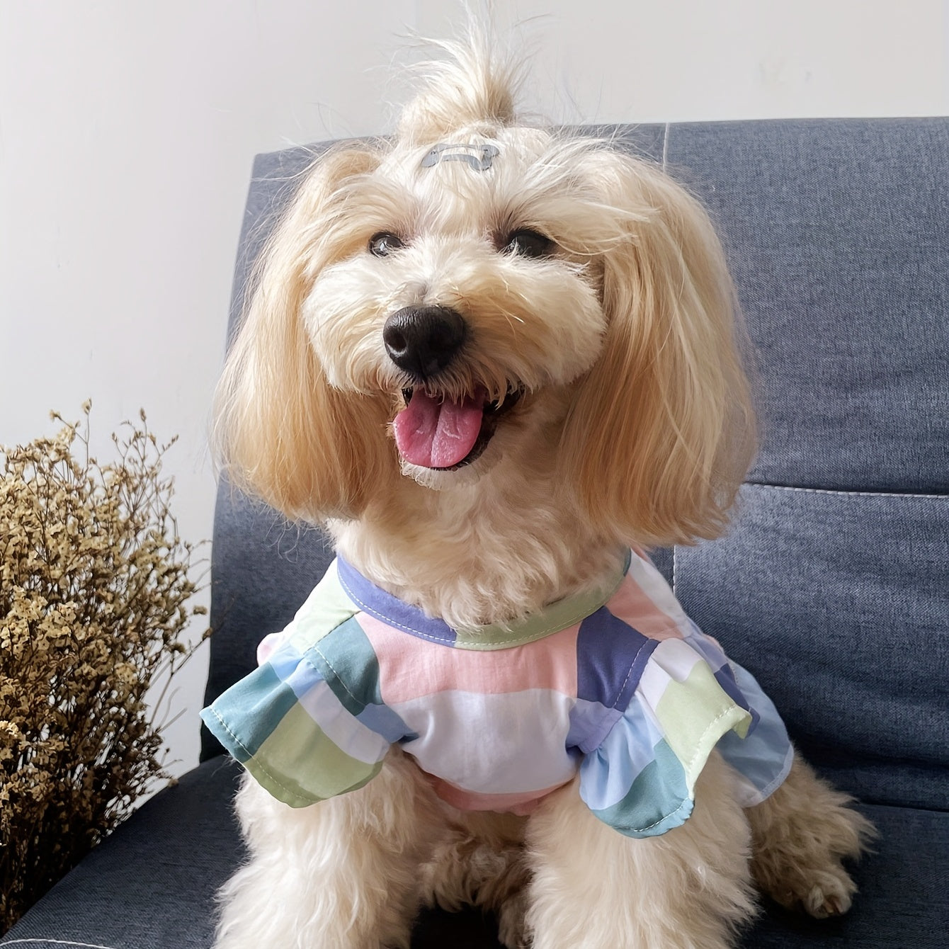 Pastel Checked Dress