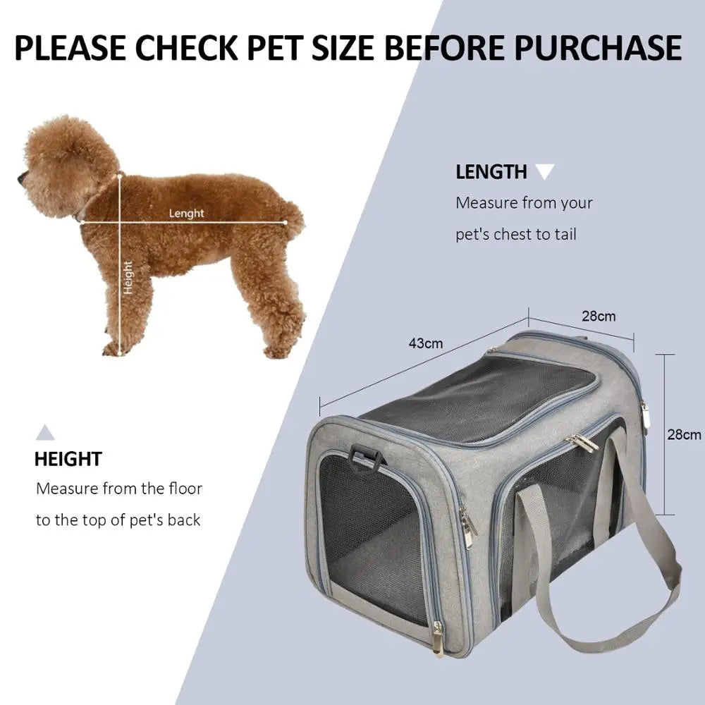 Pet Travel Carrier