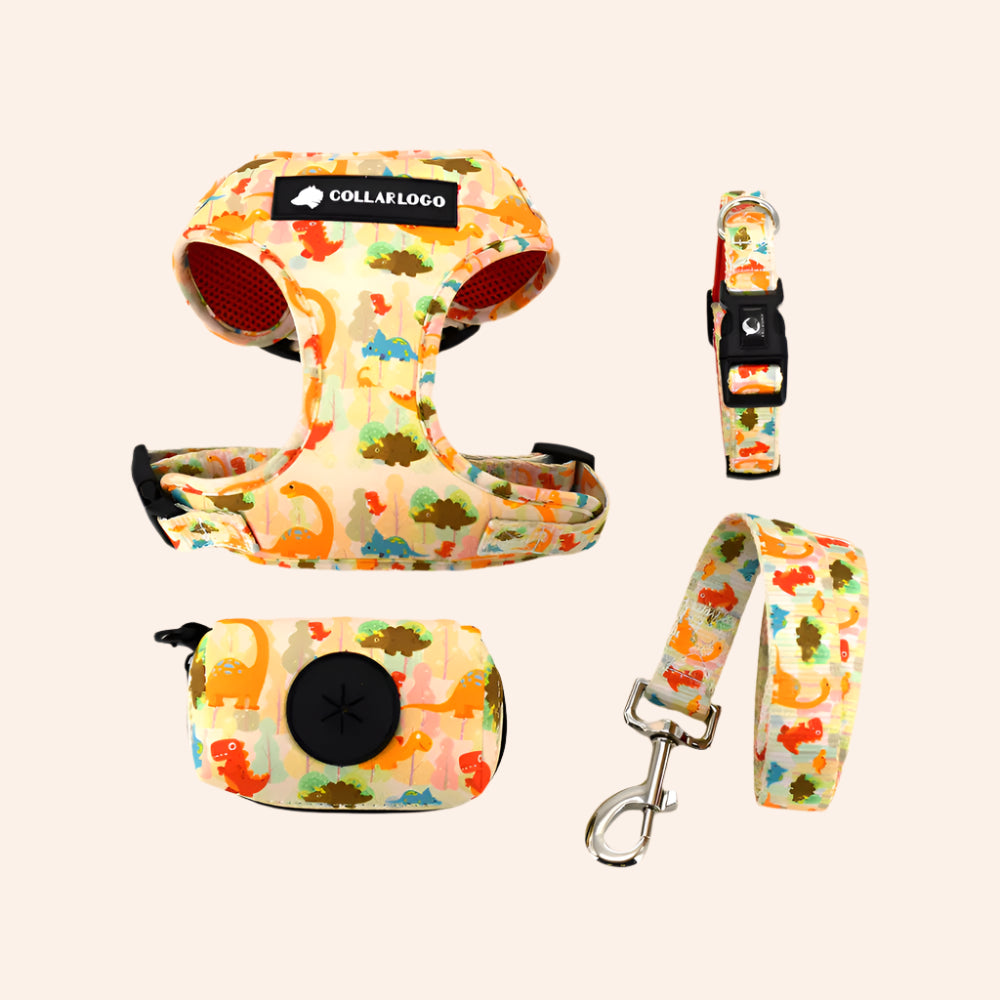 Dinosaur Harness and Accessories