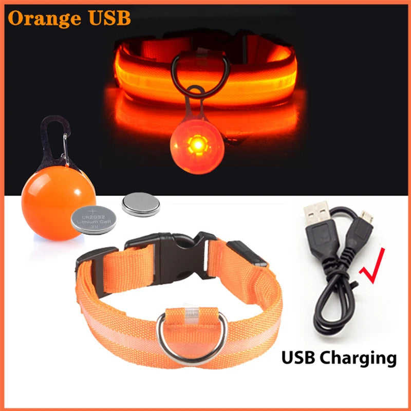 Glow in the Dark Collar
