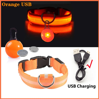 Glow in the Dark Collar