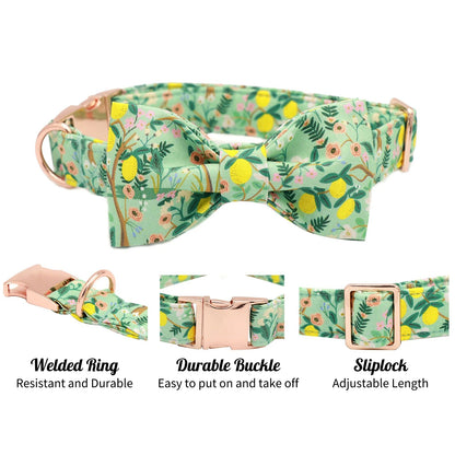 Lemon Garden Collar and Bowtie