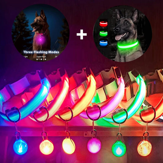 Glow in the Dark Collar