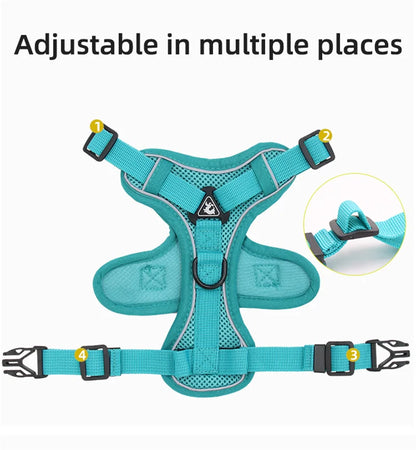 Aqua Reflective Cat Harness