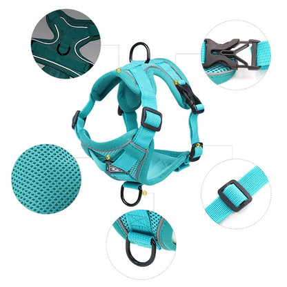 Aqua Reflective Cat Harness