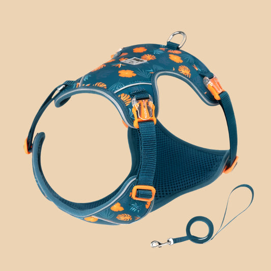 Blue Summer Harness