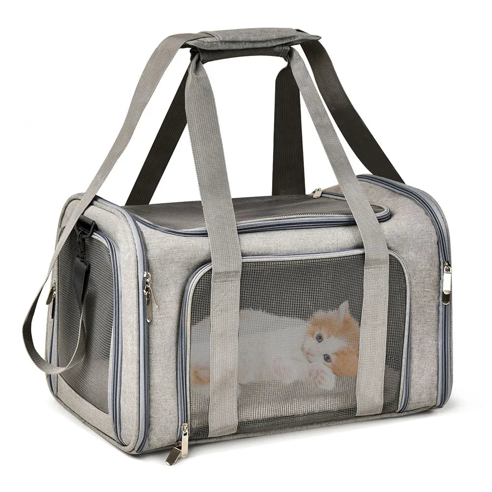 Pet Travel Carrier