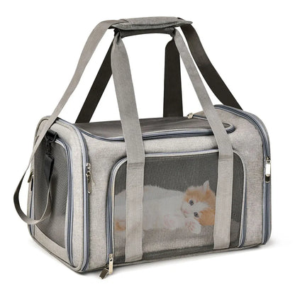 Pet Travel Carrier