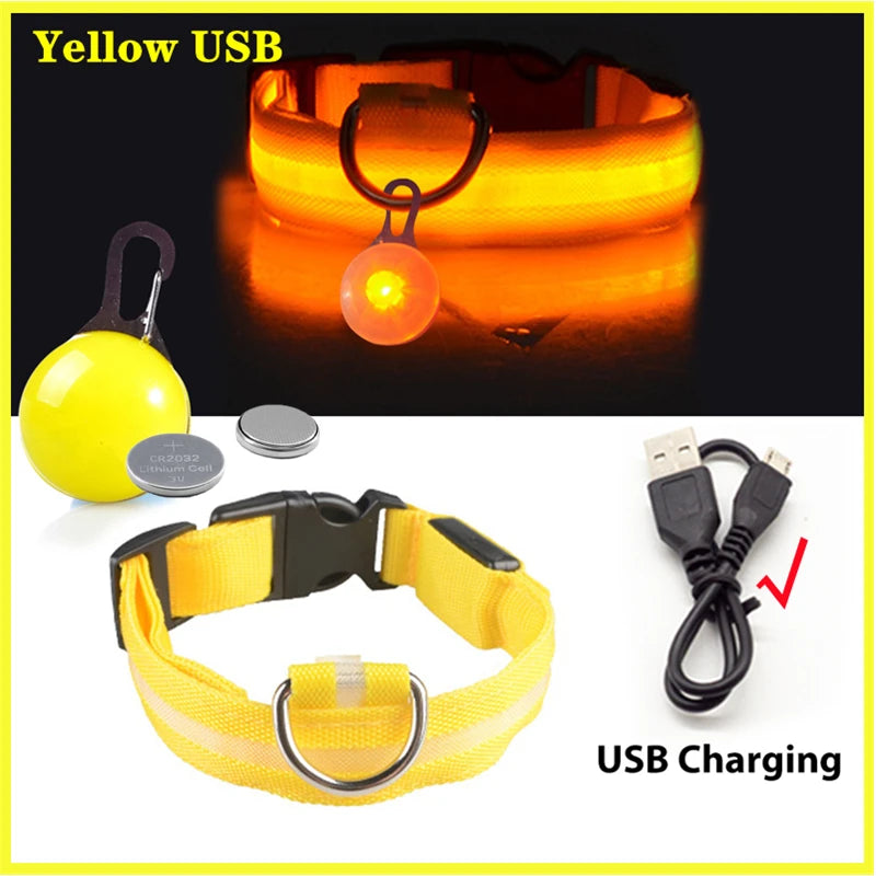 Glow in the Dark Collar
