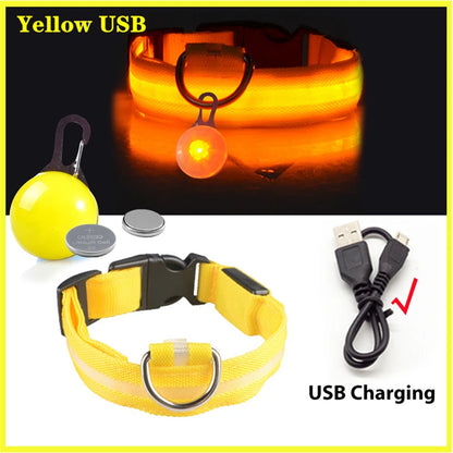 Glow in the Dark Collar