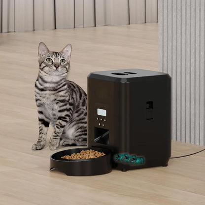 Black Smart Food Feeder