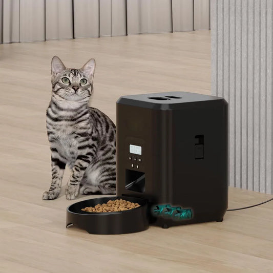 Black Smart Food Feeder