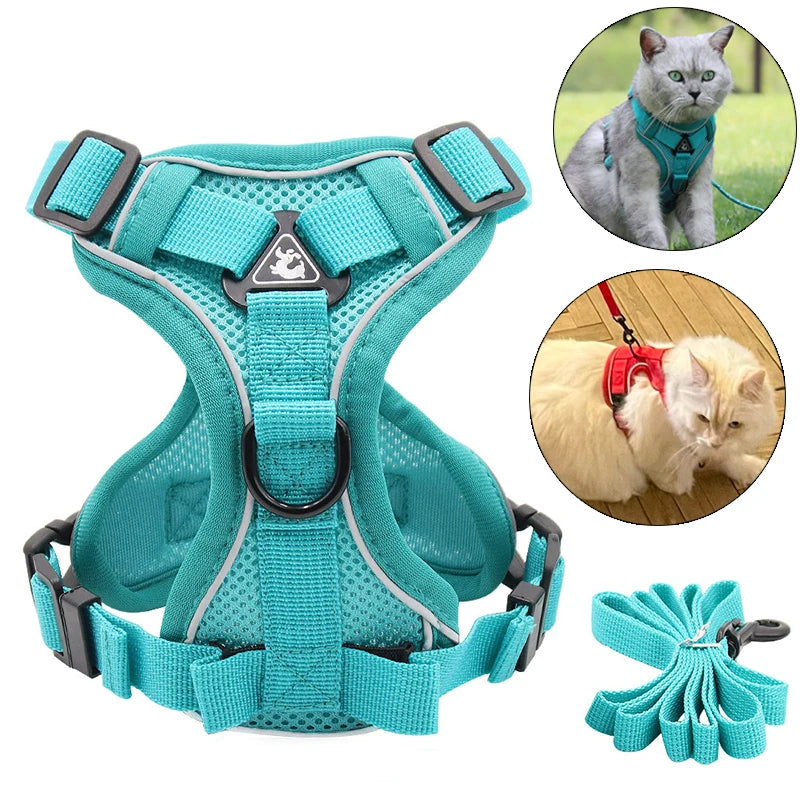 Aqua Reflective Cat Harness