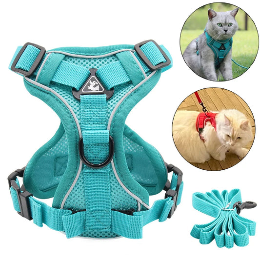 Aqua Reflective Cat Harness