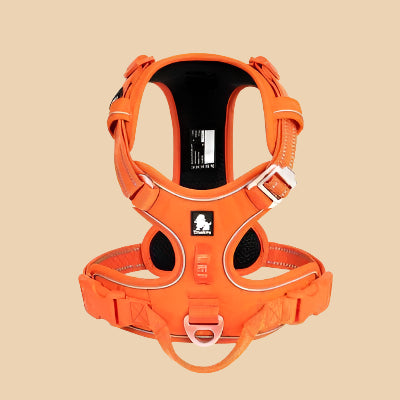 Orange Reflective Harness