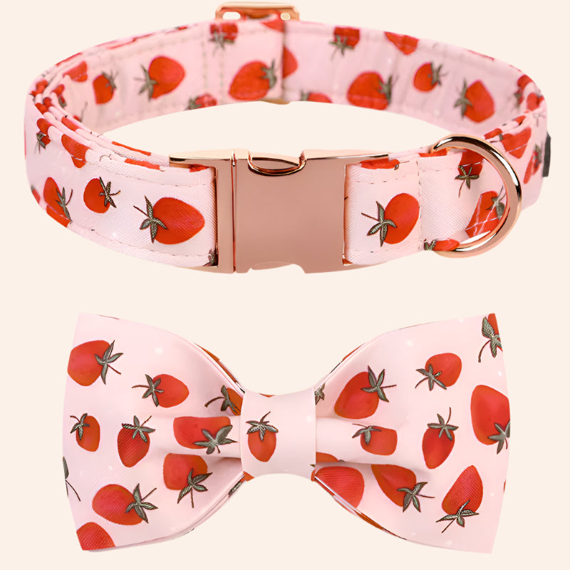 Strawberry Patch Collar and BowTie