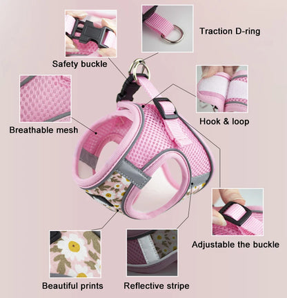 Blue Daisy Cat Harness