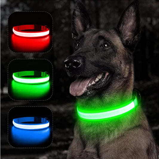 Glow in the Dark Collar