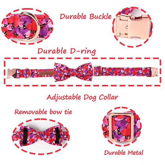 Love Heart Collar and Bowtie