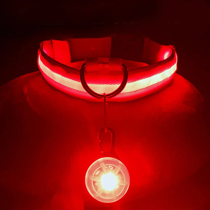 Glow in the Dark Collar