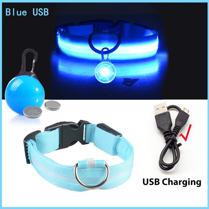 Glow in the Dark Collar