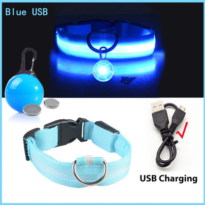 Glow in the Dark Collar