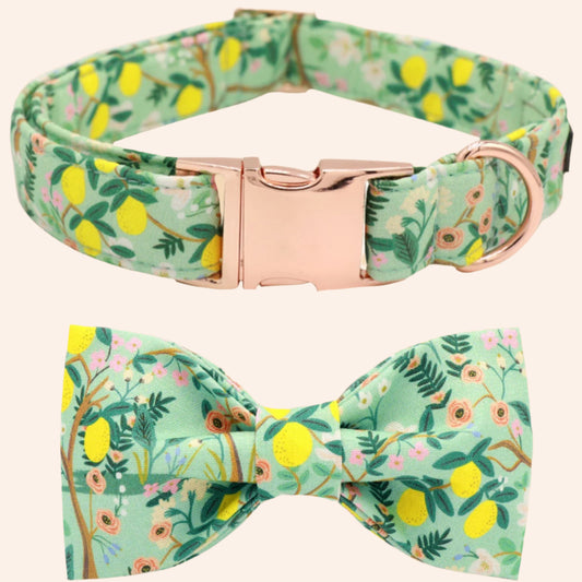 Lemon Garden Collar and Bowtie