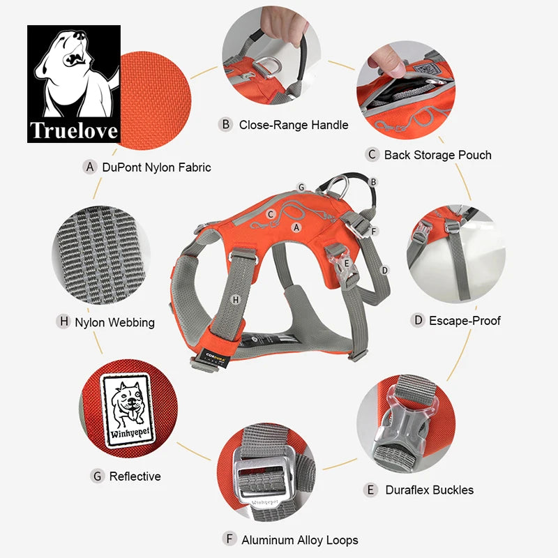 TRUELOVE Turquoise Harness