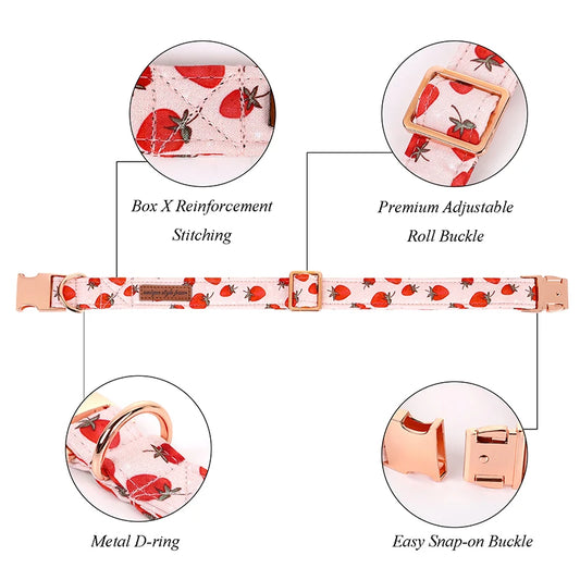 Strawberry Patch Collar and BowTie