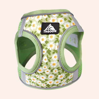 Green Daisy Cat Harness