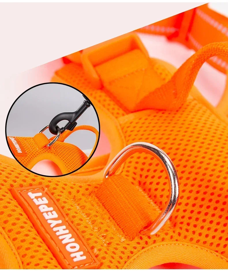 TRUELOVE Ruby Harness