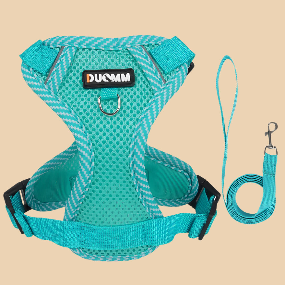 Aqua Reflective Cat Harness
