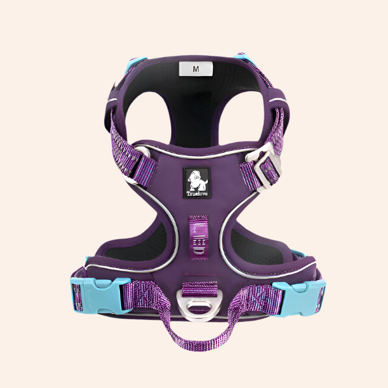 Reflective Purple Harness