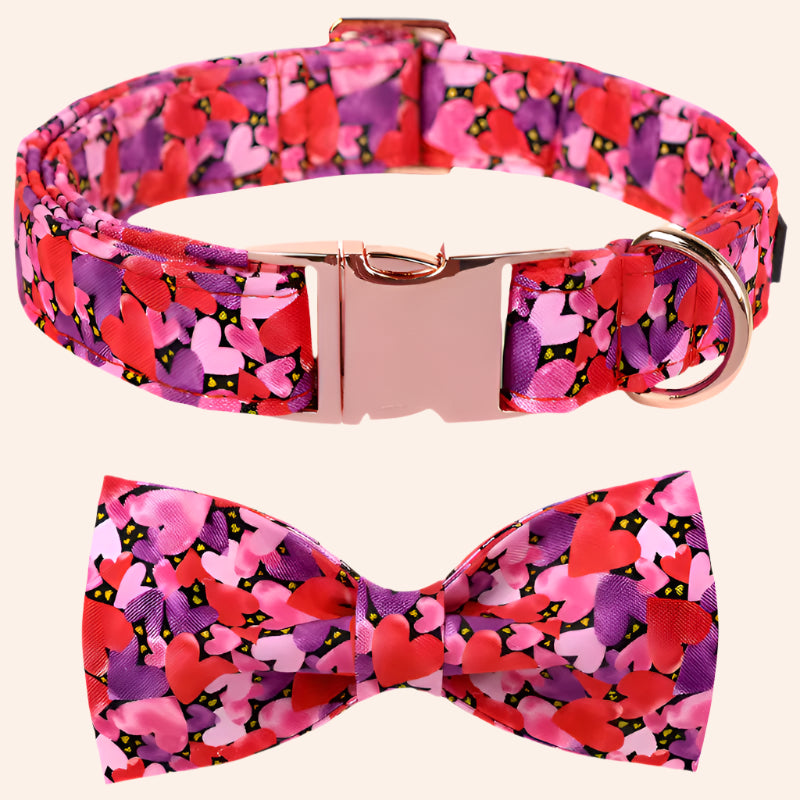 Love Heart Collar and Bowtie