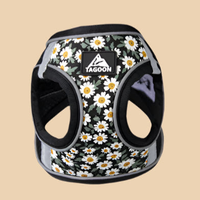 Black Daisy Cat Harness